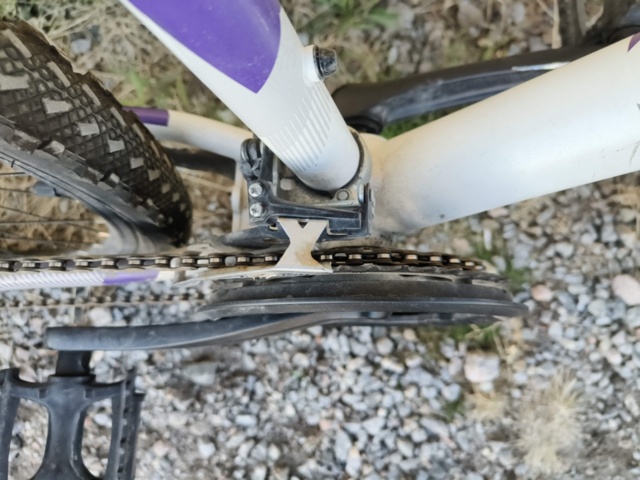 1129563-23 Bicycle Diamant Mogul 2FSD