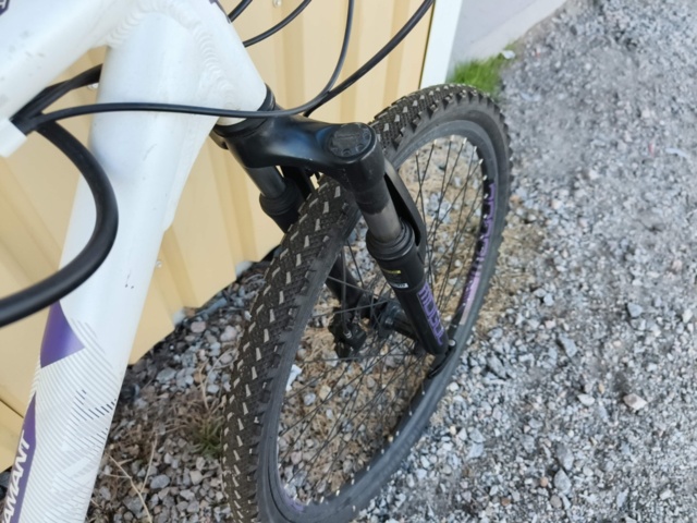 1129563-25 Bicycle Diamant Mogul 2FSD