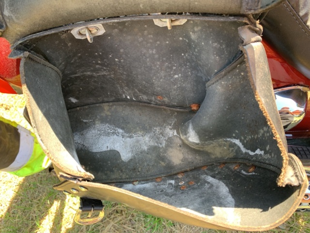 1068338-17 Light MC Kymco Zing 125 RF -1999