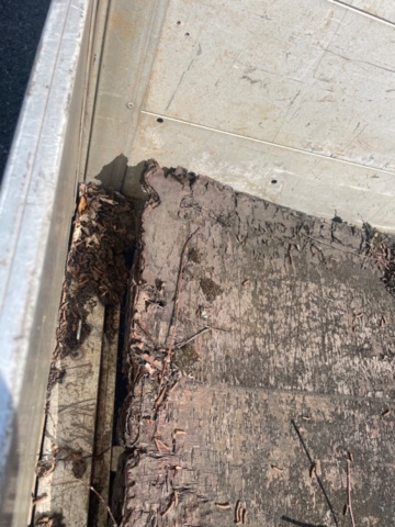 1220899-11 Iveco TurboDaily 35-10 Chassis Cab 2.8 DI Manual, 103hp, 1999