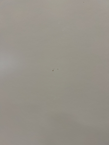 1221669-13 29 internal door leaves Dooria 8x21