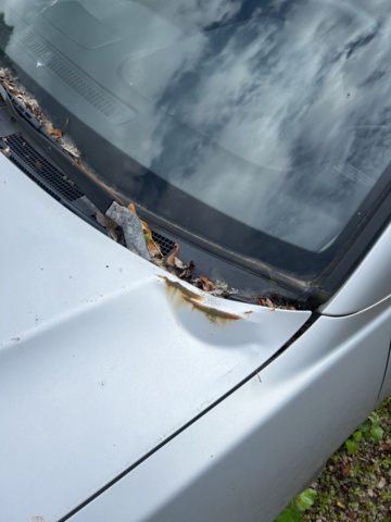 1178108-12 Mitsubishi Galant Wagon 2.4 GDI Manual, 144hp, 2001 Repair item