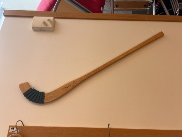 1178148-3 Skis, Bandy stick, Match shirts