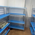 1178263-6 Shelves in cold room
