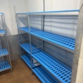 1178263-8 Shelves in cold room