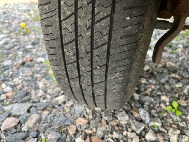 1231843-11 Car trailer with tipper and cover Brenderup CV1000 - 2021