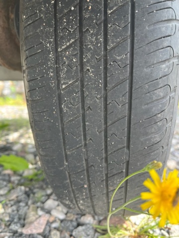 1231845-8 Car trailer with cover Brenderup LV1000 - 2021