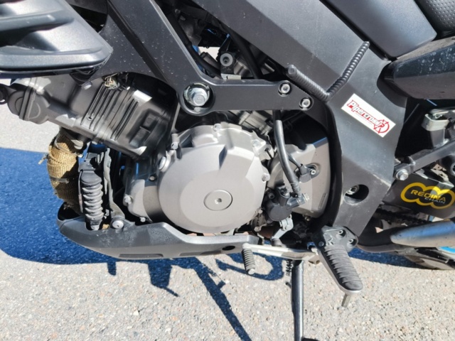 1130136-17 Suzuki Cycles DL1000 V-Storm 1.0 -2006