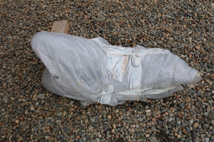 1211234-53 Mini excavator Shanding SD13D -2022