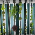 1236296-1 Plant wall with LED lighting - ZipGrow 8-Tower Farm Wall