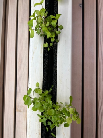 1236296-3 Plant wall with LED lighting - ZipGrow 8-Tower Farm Wall