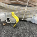 1238758-2 LED loop Garo Elflex Asball 2.0, 25m