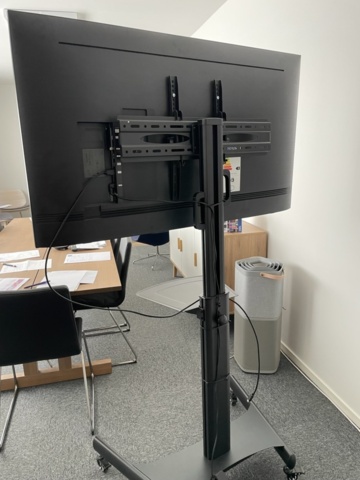 1242496-2 TV 55" on wheels with stand - Samsung