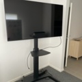 1242496-1 TV 55" on wheels with stand - Samsung