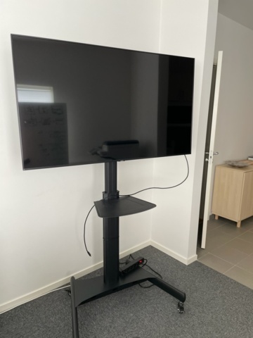1242496-1 TV 55" on wheels with stand - Samsung