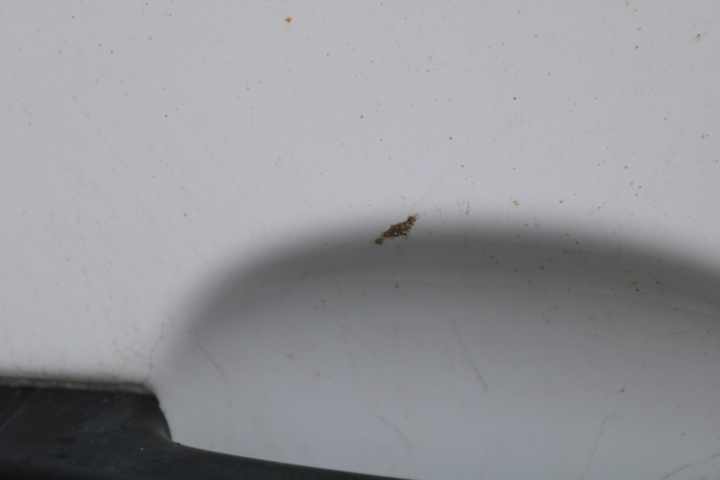 1236066-40 Ford Transit Custom 300 -2022