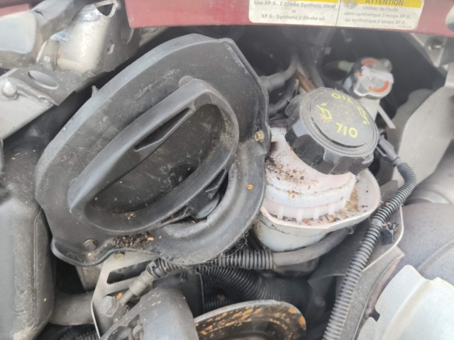 1236841-54 Scooter Ski-Doo GTX 600 LTD - 2007