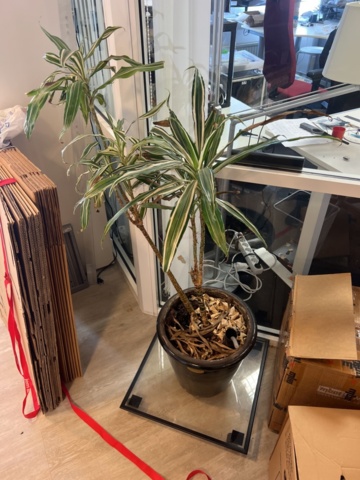 1242975-2 Väntrumsmöbler