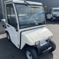 1205500-8 Electric car Melex 845 -2014