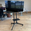 1256902-1 Samsung 55 inch TV on rollable stand