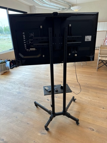1256902-3 Samsung 55 inch TV on rollable stand