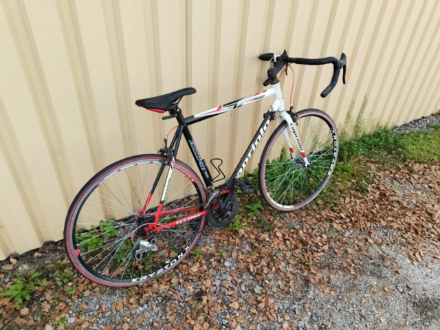 1236969-6 Men's exercise bike - Capriolo Eclipse 2050