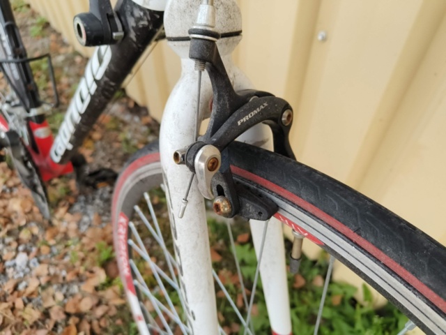 1236969-8 Men's exercise bike - Capriolo Eclipse 2050