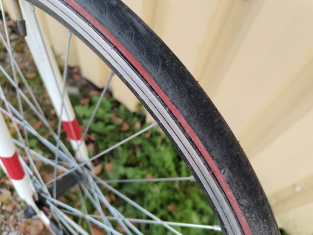 1236969-9 Men's exercise bike - Capriolo Eclipse 2050