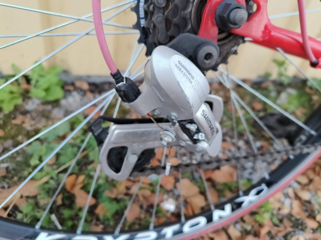 1236969-21 Men's exercise bike - Capriolo Eclipse 2050