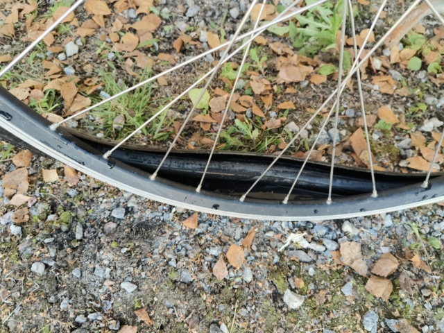 1236982-21 Women's bike Sjösala