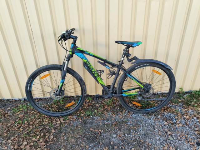 1236984-2 Men's bike Revel Giant Rotarium