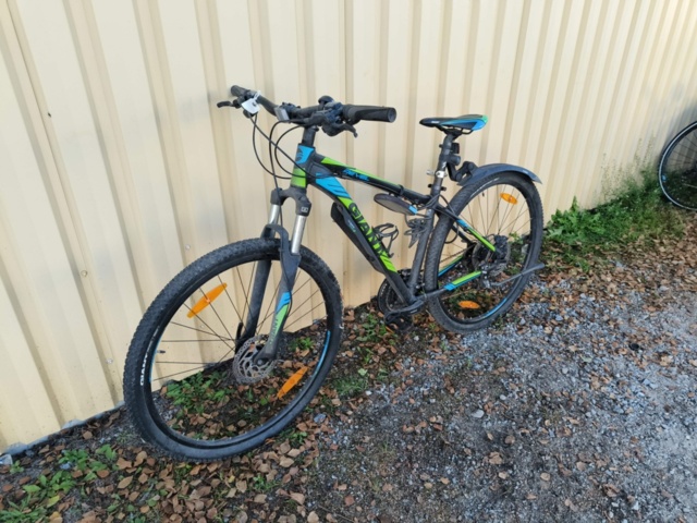 1236984-3 Men's bike Revel Giant Rotarium