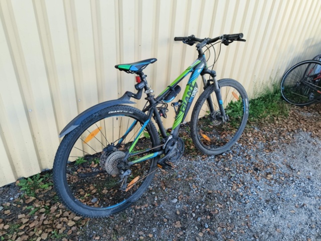 1236984-7 Men's bike Revel Giant Rotarium