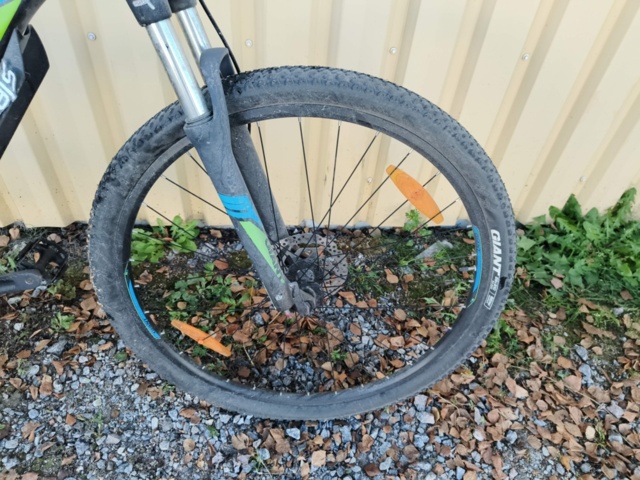 1236984-8 Men's bike Revel Giant Rotarium