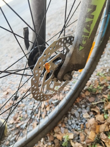 1236984-9 Men's bike Revel Giant Rotarium