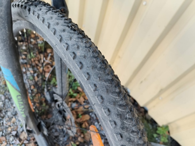 1236984-10 Men's bike Revel Giant Rotarium