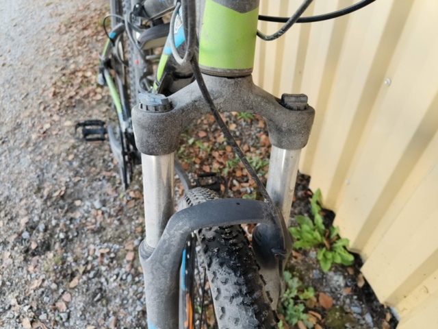 1236984-11 Men's bike Revel Giant Rotarium