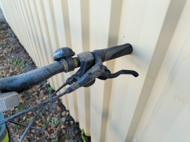 1236984-13 Men's bike Revel Giant Rotarium