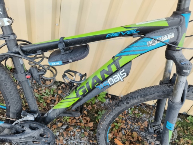 1236984-15 Men's bike Revel Giant Rotarium