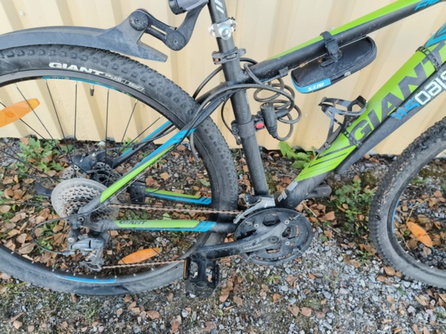 1236984-17 Men's bike Revel Giant Rotarium