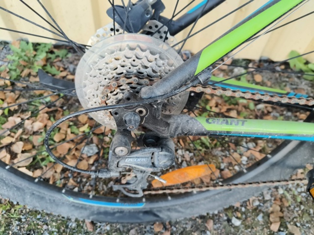 1236984-19 Men's bike Revel Giant Rotarium