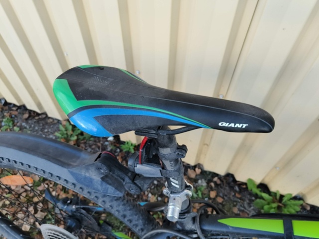 1236984-21 Men's bike Revel Giant Rotarium