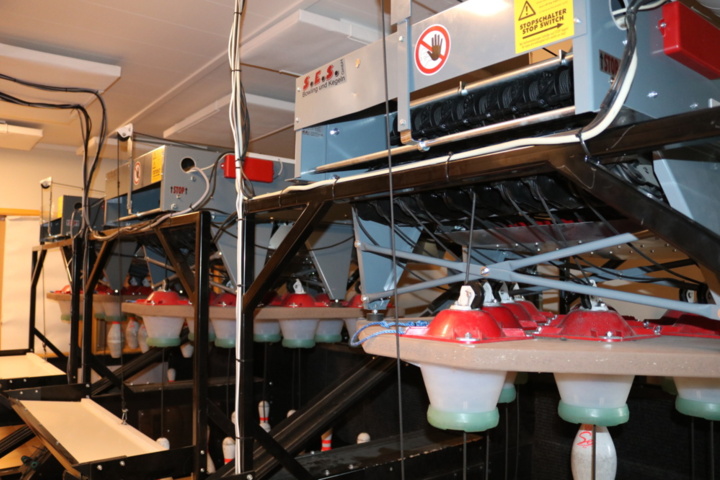 1257379-45 3 Complete Bowling Lanes for relocation