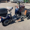 1251376-2 Flakmoped - NORSJÖ CARRIER 4-STROKE -2014