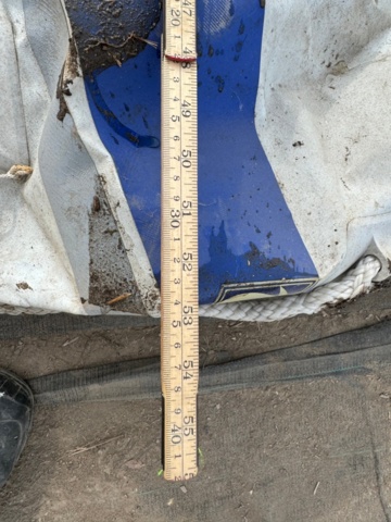 1198869-7 Seabo inflatable boat