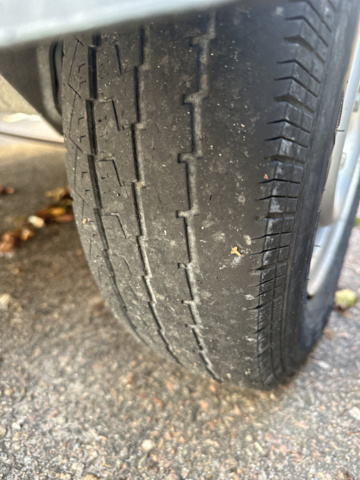 1250499-6 Car trailer Wio Wiola, 2021