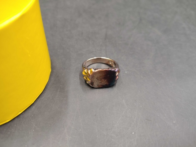 1262919-1 Jane Koenig Silver Ring Drippy Signet, size 54 - Shipping included