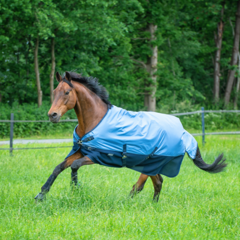 TURNOUT RUG 3D AIR RAIN, 155 cm - Auktioner online - Nätauktioner ...