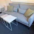 1239989-2 Sofa from IKEA, model BARKTORP and coffee table (GRANBODA)