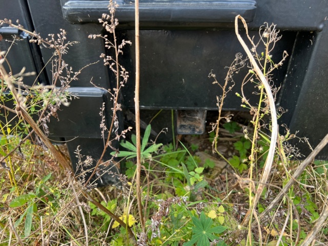 1269025-8 Komprimator med container